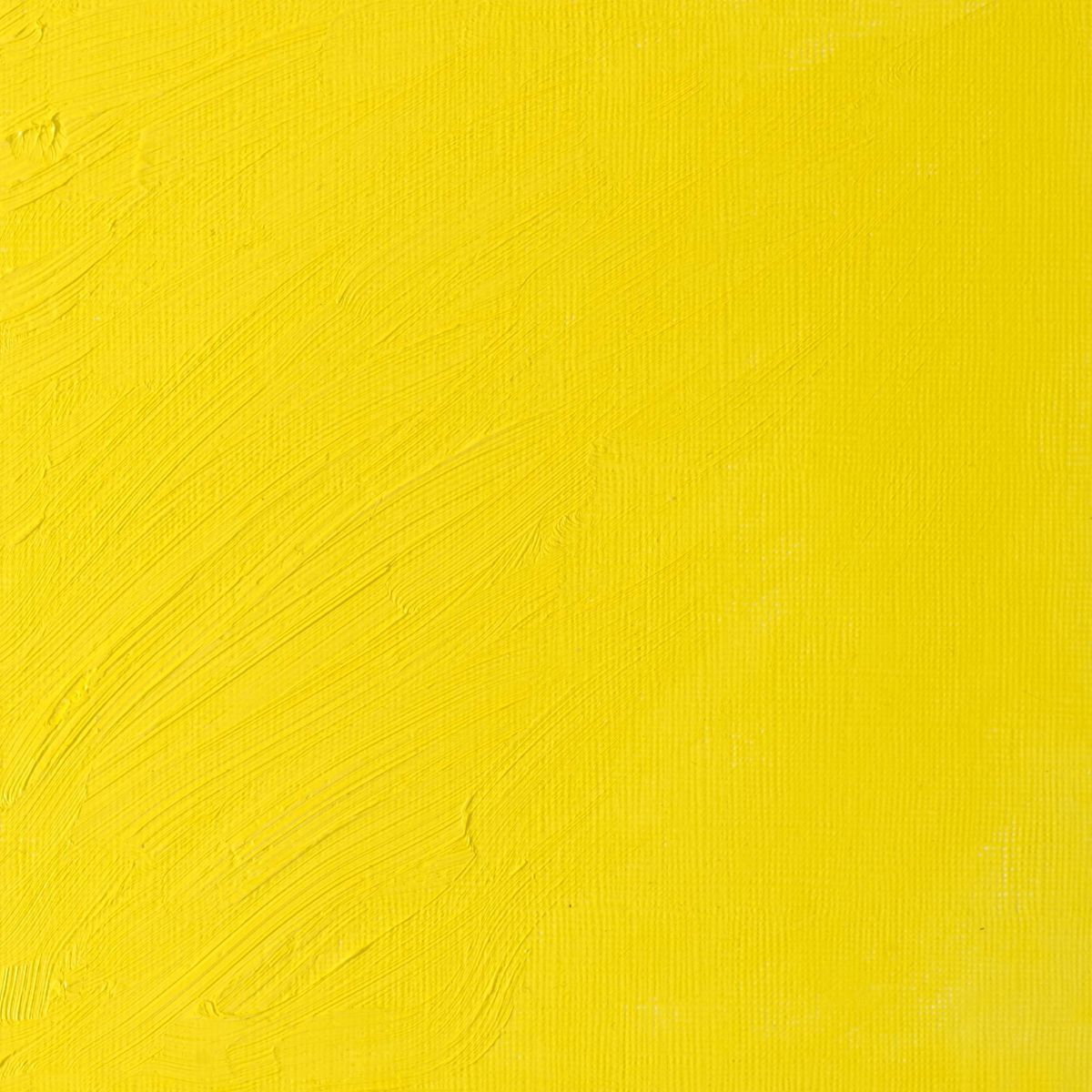 Artists' Oil Colour - Bismuth Yellow