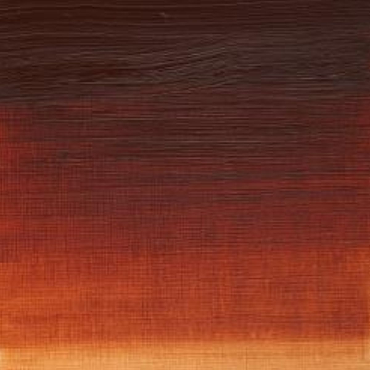 Artists' Oil Colour - Burnt Sienna
