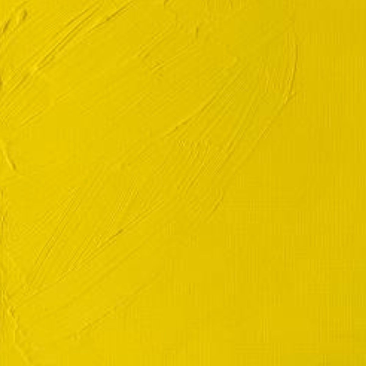 Artists' Oil Colour - Cadmium Lemon