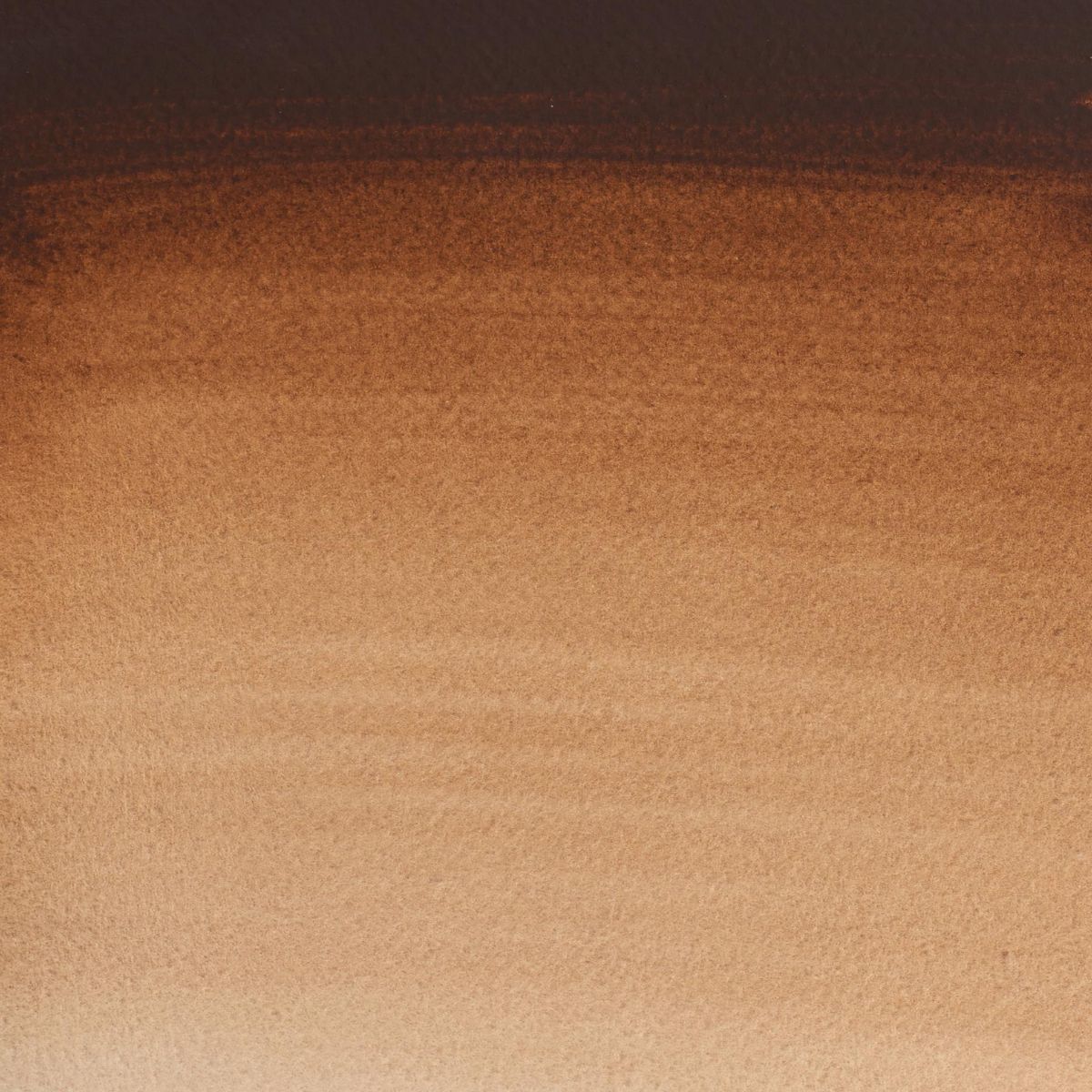 Cotman Watercolour - Burnt Umber
