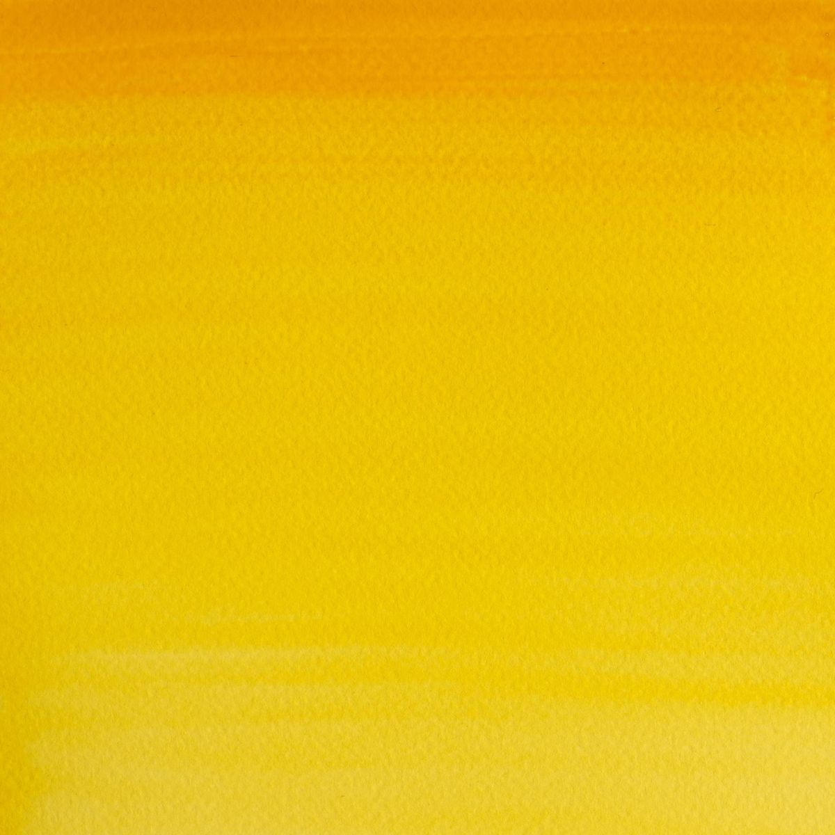 Cotman Watercolour - Cadmium Yellow Hue
