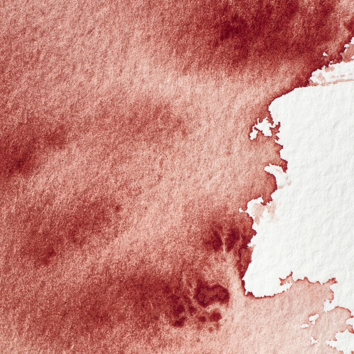 Professional Watercolour - Brown Madder