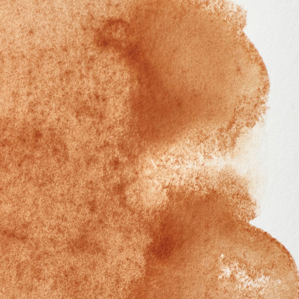 Professional Watercolour - Brown Ochre