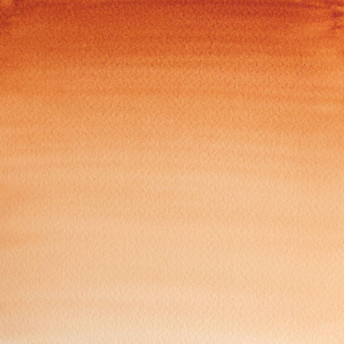 Professional Watercolour - Burnt Sienna