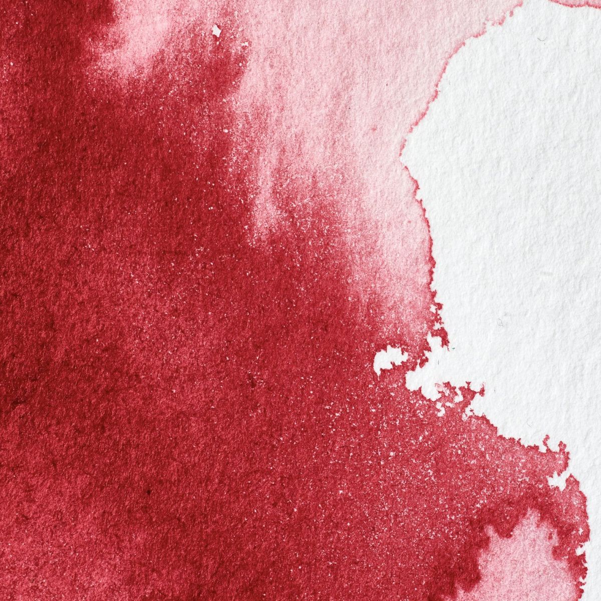Professional  Watercolour - Alizarin Crimson
