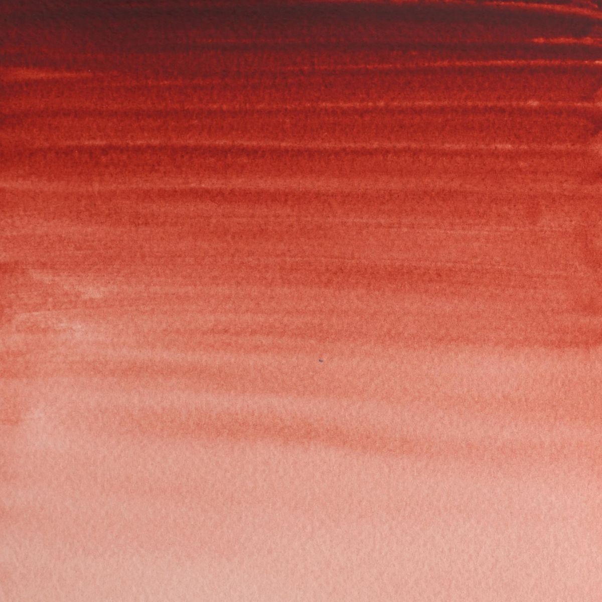 Professional  Watercolour - Brown Madder